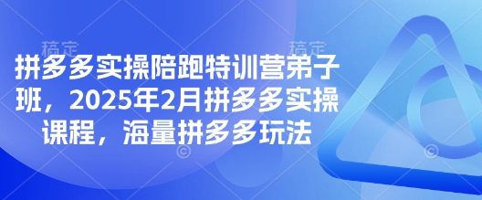 拼多多实操陪跑特训营弟子班，2025年2月拼多多实操课程，海量拼多多玩法-海旭网创