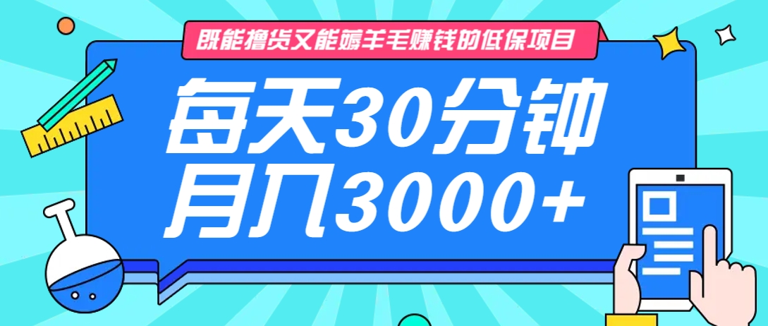 既能撸货又能赚钱的长期低保项目，每天30分钟，多号百分百稳定月入3000+！-海旭网创
