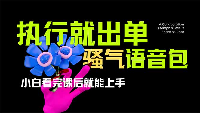 爆火全网的开车导航骚气语音包,只要执行就出单，小白看完课程就能实操…-海旭网创