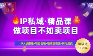 2025年“IP私域·密训精品课”，日赚3000+小白避坑年赚百万，暴力引流...-海旭网创