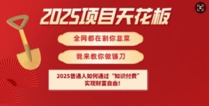 2025项目天花板普通人如何通过知识付费，实现财F自由【揭秘】-海旭网创