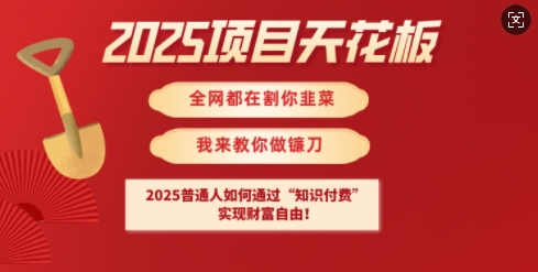 2025项目天花板普通人如何通过知识付费，实现财F自由【揭秘】-海旭网创
