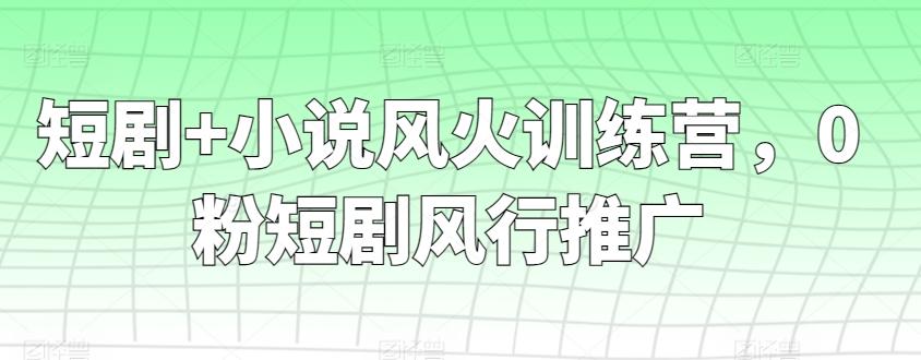 短剧+小说风火训练营，0粉短剧风行推广-海旭网创