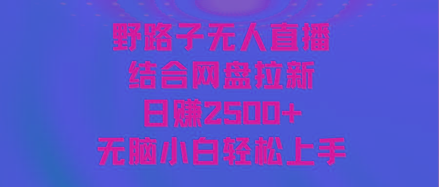 无人直播野路子结合网盘拉新，日赚2500+多平台变现，小白无脑轻松上手操作-海旭网创