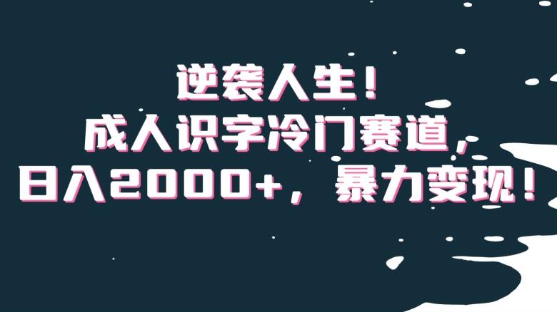 逆袭人生！成人识字冷门赛道，日入2000+，暴力变现！【揭秘】-海旭网创