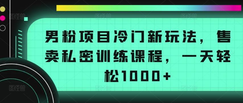男粉项目冷门新玩法，售卖私密训练课程，一天轻松1000+【揭秘】-海旭网创