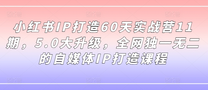小红书IP打造60天实战营11期，5.0大升级，全网独一无二的自媒体IP打造课程-海旭网创
