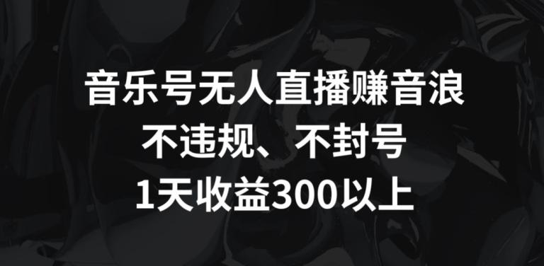 音乐号无人直播赚音浪，不违规、不封号，1天收益300+【揭秘】-海旭网创