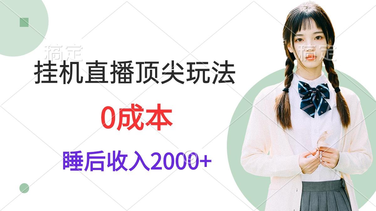 (9715期)挂机直播顶尖玩法，睡后日收入2000+、0成本，视频教学-海旭网创