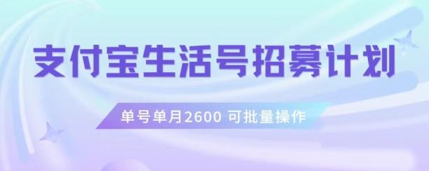 支付宝生活号作者招募计划，单号单月2600，可批量去做，工作室一人一个月轻松1w+【揭秘】-海旭网创