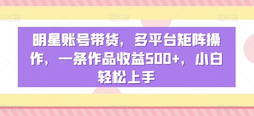 明星账号带货，多平台矩阵操作，一条作品收益500+，小白轻松上手【揭秘】-海旭网创