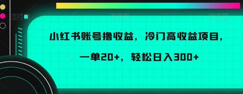 小红书账号撸收益，冷门高收益项目，一单20+，轻松日入300+【揭秘】-海旭网创