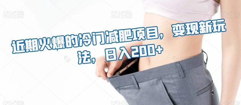 近期火爆的冷门减肥项目，变现新玩法，日入200+-海旭网创