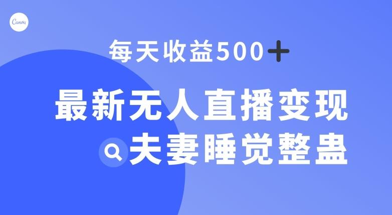 最新无人直播变现，夫妻睡觉整蛊，每天躺赚500+【揭秘】-海旭网创