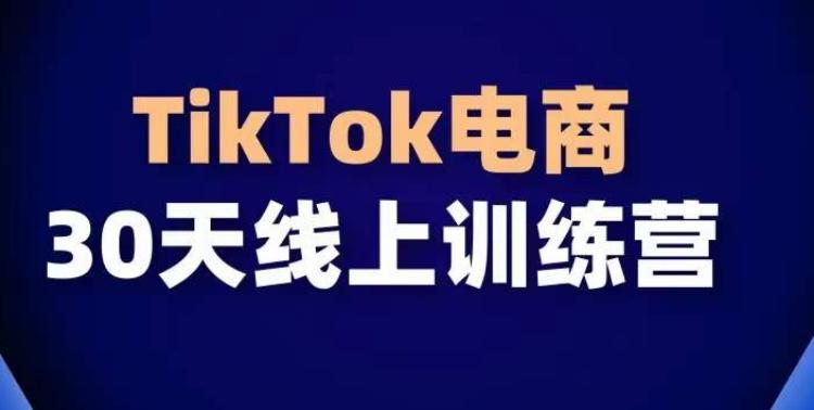 TikTok电商带货30天线上课，不可错过的全球流量洼地！-海旭网创
