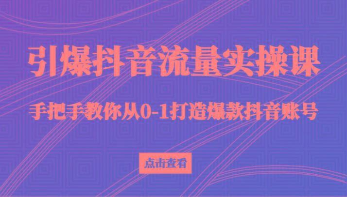 引爆抖音流量实操课，手把手教你从0-1打造爆款抖音账号(27节课)-海旭网创