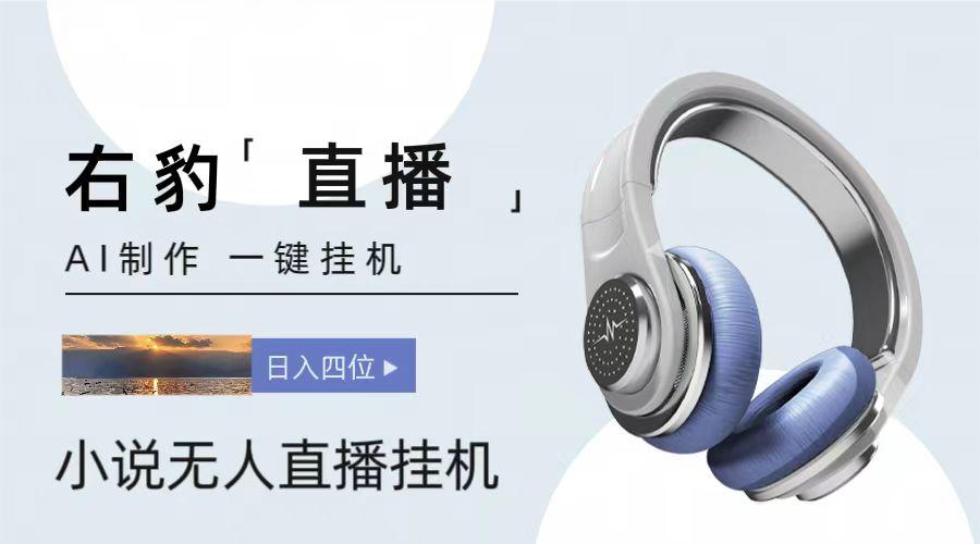 右豹小说无人直播挂机吸金项目，简单易行收益稳定， 月入1000+-海旭网创