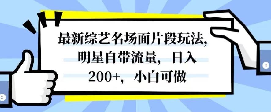 最新综艺名场面片段玩法，明星自带流量，日入200+，小白可做【揭秘】-海旭网创