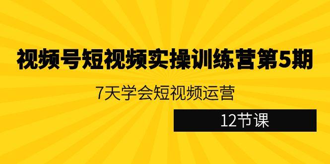 视频号短视频实操训练营第5期：7天学会短视频运营(12节课)-海旭网创