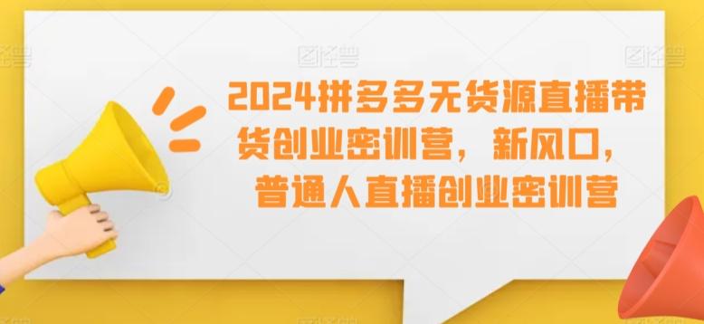 2024拼多多无货源直播带货创业密训营，新风口，普通人直播创业密训营-海旭网创