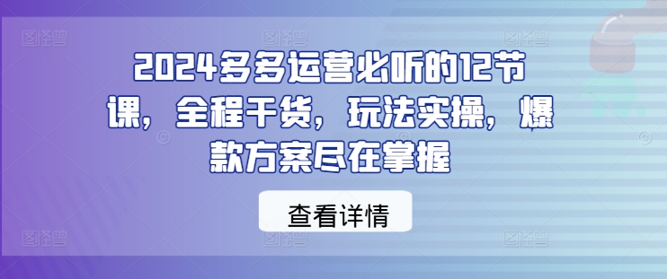 2024多多运营必听的12节课，全程干货，玩法实操，爆款方案尽在掌握-海旭网创