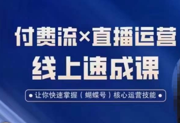 视频号付费流实操课程，付费流✖️直播运营速成课，让你快速掌握视频号核心运营技能-海旭网创