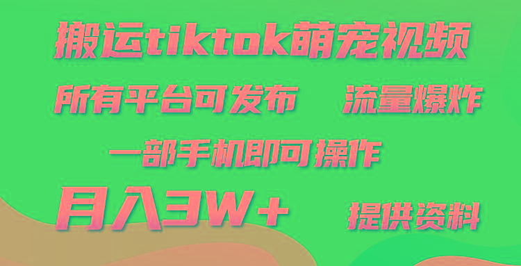 (9618期)搬运Tiktok萌宠类视频，一部手机即可。所有短视频平台均可操作，月入3W+-海旭网创