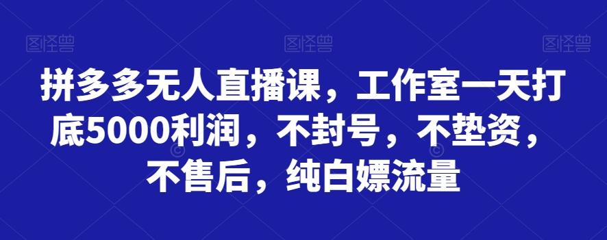 拼多多无人直播课，工作室一天打底5000利润，不封号，不垫资，不售后，纯白嫖流量-海旭网创