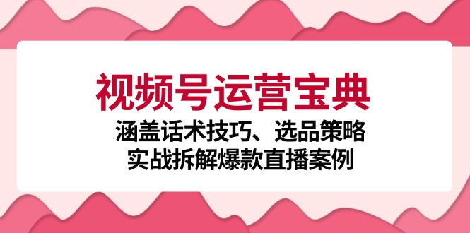 视频号运营宝典：涵盖话术技巧、选品策略、实战拆解爆款直播案例-海旭网创