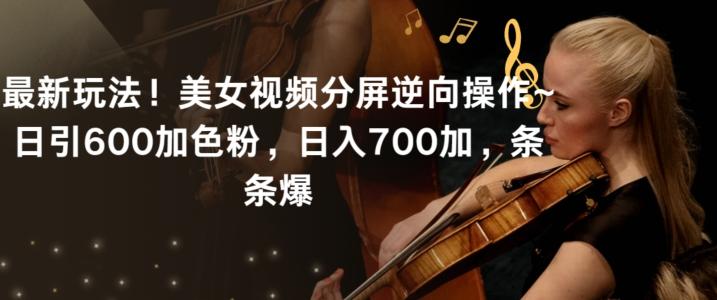 最新玩法！美女视频分屏逆向操作~日引600加色粉，日入700加，条条爆【揭秘】-海旭网创