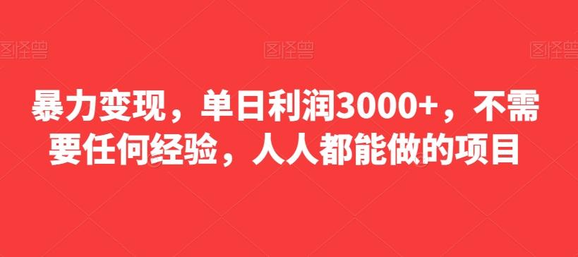 暴力变现，单日利润3000+，不需要任何经验，人人都能做的项目-海旭网创