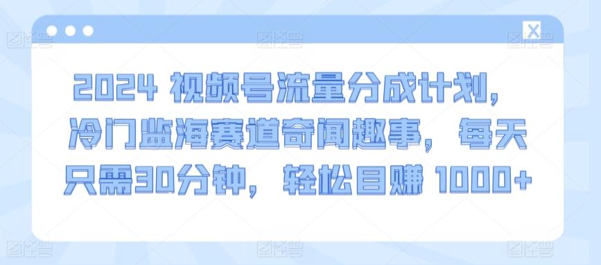 2024视频号流量分成计划，冷门监海赛道奇闻趣事，每天只需30分钟，轻松目赚 1000+【揭秘】-海旭网创