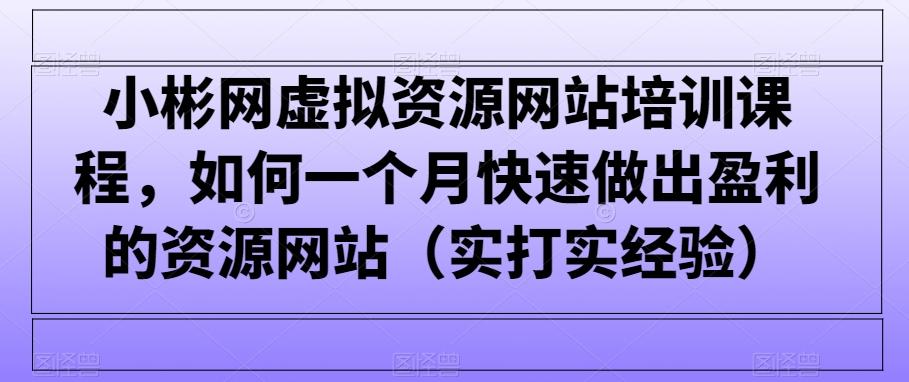 小彬网虚拟资源网站培训课程，如何一个月快速做出盈利的资源网站(实打实经验)-海旭网创