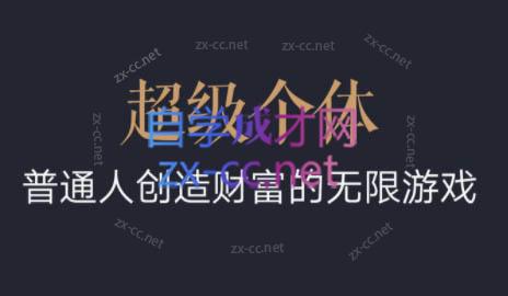 超级个体·普通人创造财富的无限游戏-海旭网创