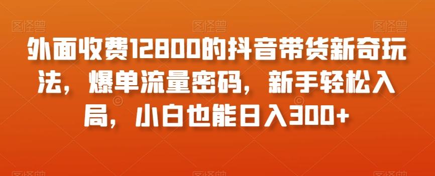 外面收费12800的抖音带货新奇玩法，爆单流量密码，新手轻松入局，小白也能日入300+【揭秘】-海旭网创