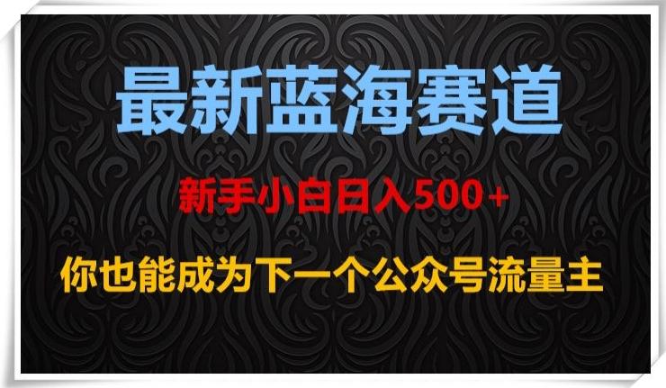 最新蓝海赛道，新手小白日入500+，你也能成为下一个公众号流量主【揭秘】-海旭网创