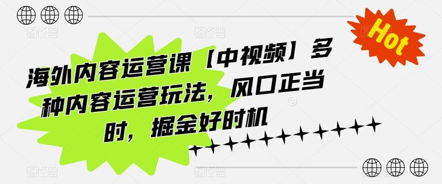 海外内容运营课【中视频】多种内容运营玩法，风口正当时，掘金好时机-海旭网创