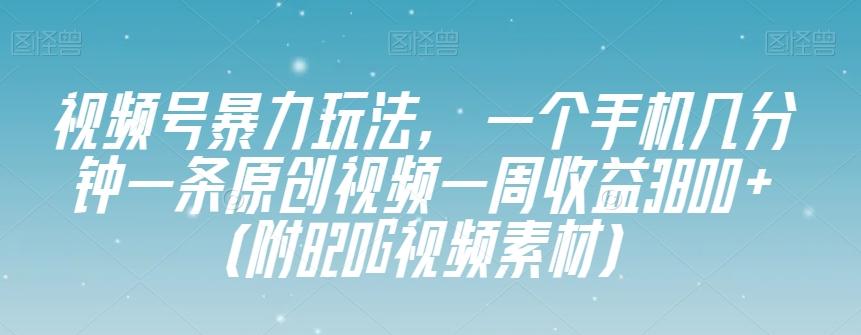视频号暴力玩法，一个手机几分钟一条原创视频一周收益3800+（附820G视频素材）-海旭网创