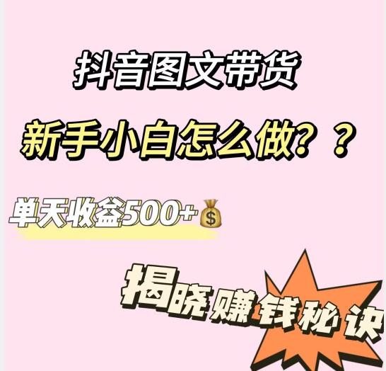 抖音图文带货，新手小白怎么做？单天收益500+【揭秘赚钱秘诀】-海旭网创