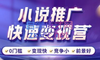 洲洲老师·小说推广快速变现营-海旭网创