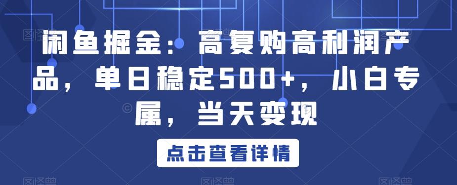 闲鱼掘金：高复购高利润产品，单日稳定500+，小白专属，当天变现-海旭网创