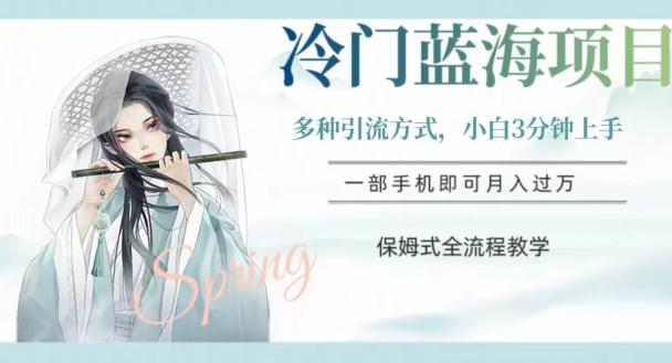 冷门蓝海项目，操作简单，小白3分钟上手，多种引流方式，保姆式全流程教学【揭秘】-海旭网创