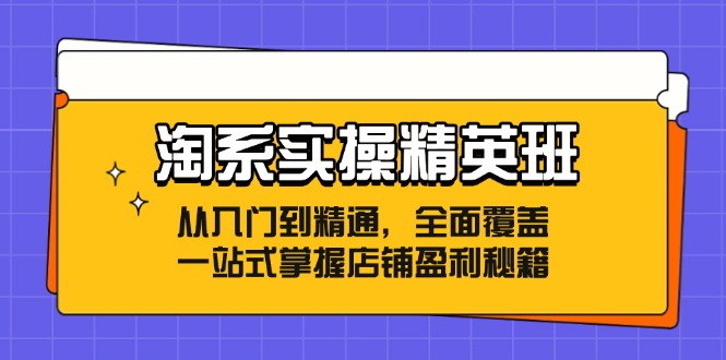 淘系实操精英班：从入门到精通，全面覆盖，一站式掌握店铺盈利秘籍-海旭网创