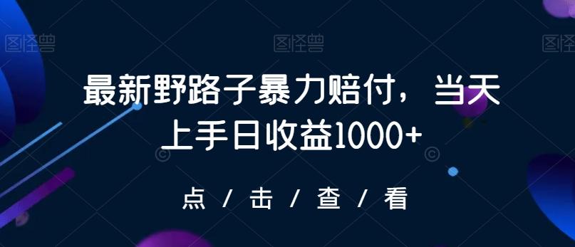 最新野路子暴力赔付，当天上手日收益1000+【仅揭秘】-海旭网创
