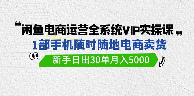 (9547期)闲鱼电商运营全系统VIP实战课，1部手机随时随地卖货，新手日出30单月入5000-海旭网创