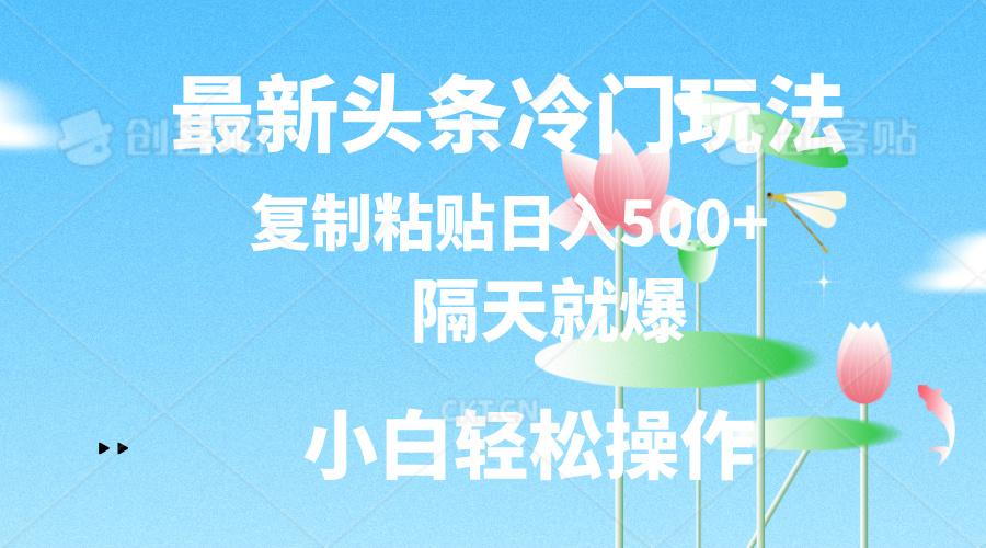 最新头条冷门玩法，隔天就爆，复制粘贴日入500+-海旭网创
