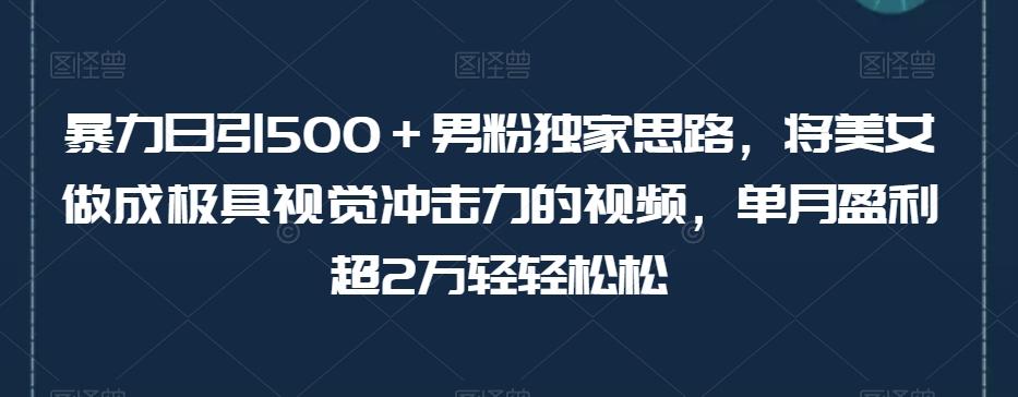 暴力日引500＋男粉独家思路，将美女做成极具视觉冲击力的视频，单月盈利超2万轻轻松松-海旭网创