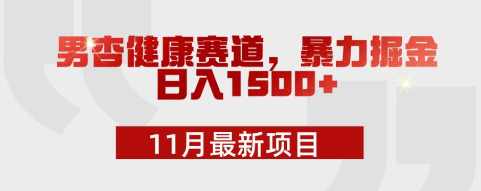 11月最新项目，男杏健康赛道，暴力掘金，日入1500+-海旭网创