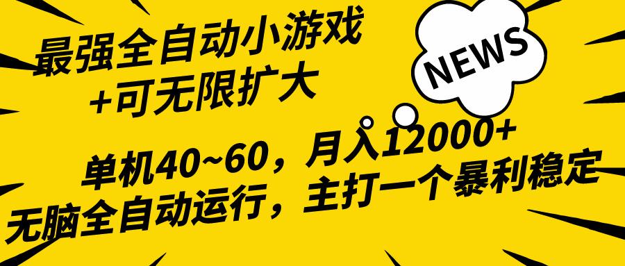 (10046期)2024最新全网独家小游戏全自动，单机40~60,稳定躺赚，小白都能月入过万-海旭网创