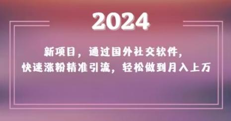 2024新项目，通过国外社交软件，快速涨粉精准引流，轻松做到月入上万【揭秘】-海旭网创